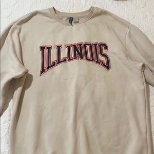 H&M Illinois sweater
